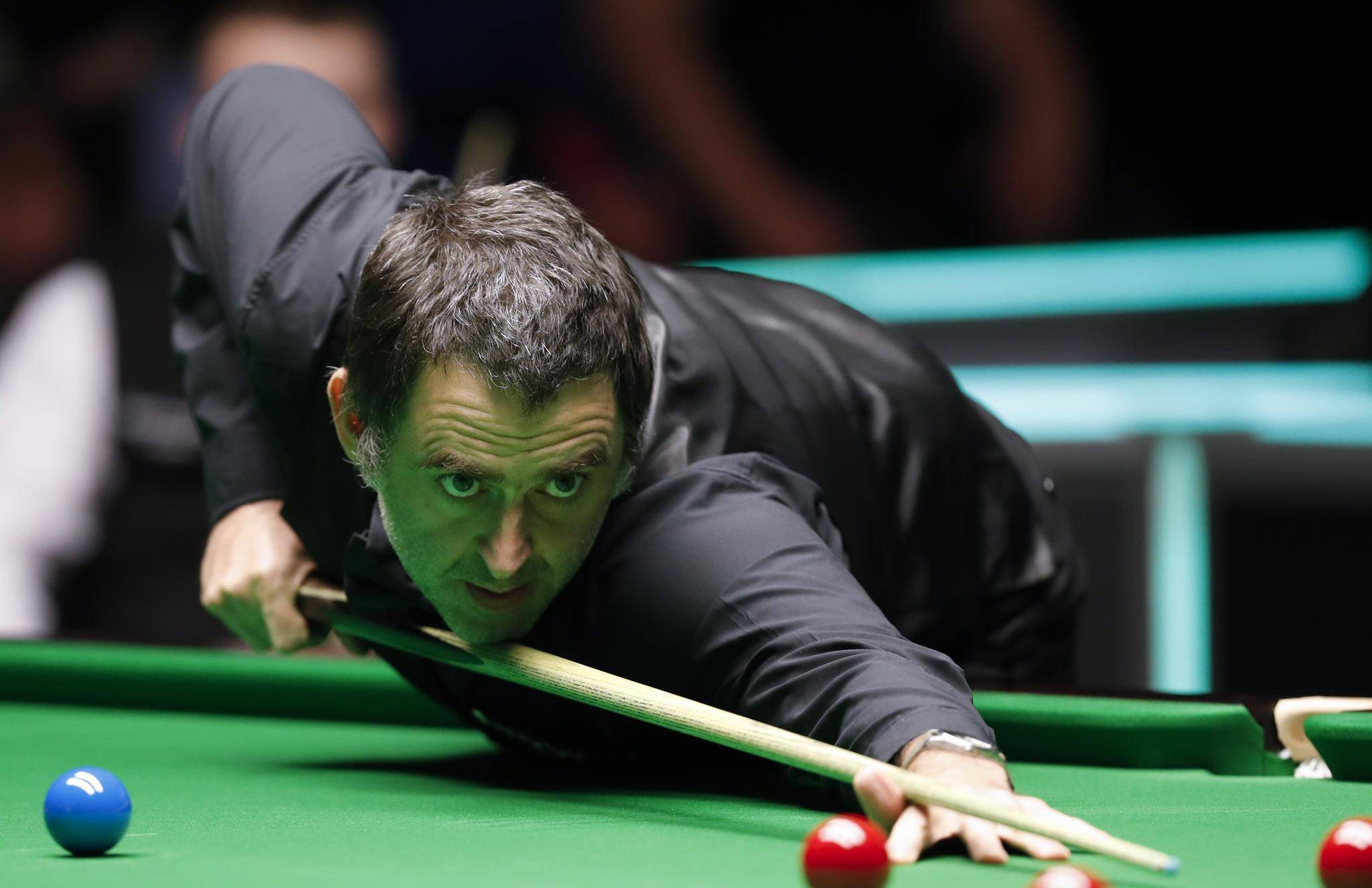 再度捧杯的 再度捧杯的